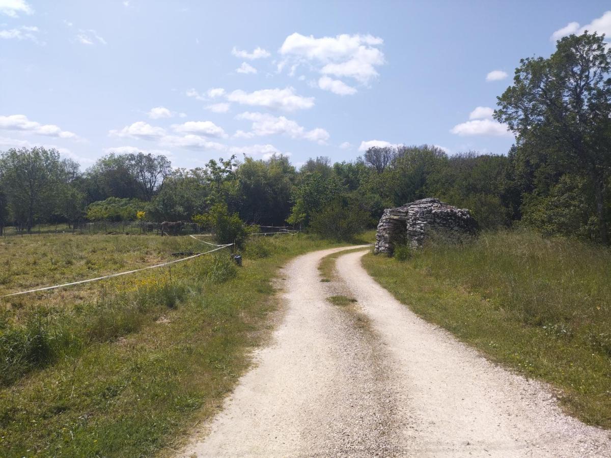 Gite Des 3 Cazelles Cajarc Kültér fotó